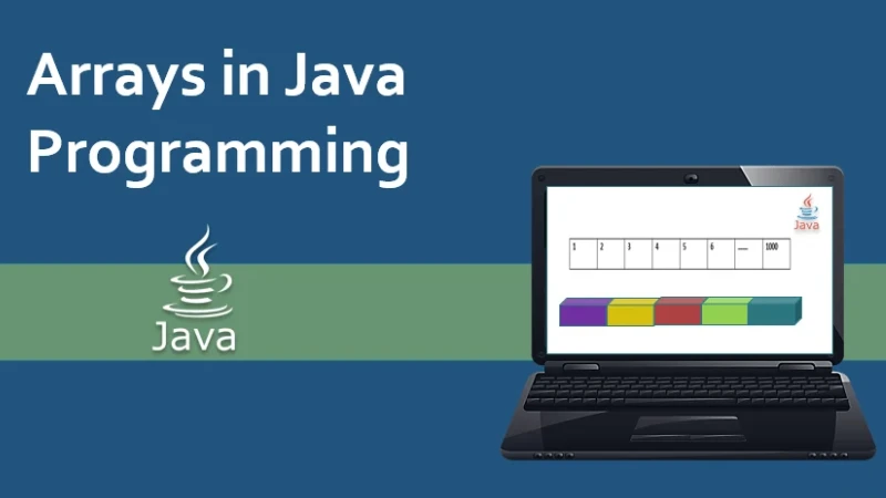 Java Basic Functions & Arrays