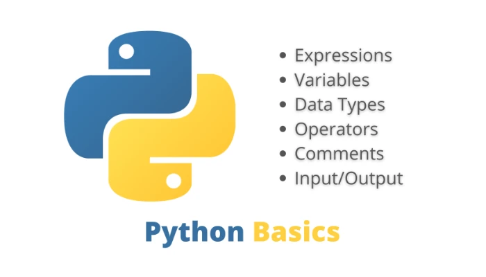 Python Basic