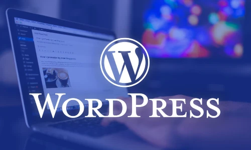 CMS WordPress